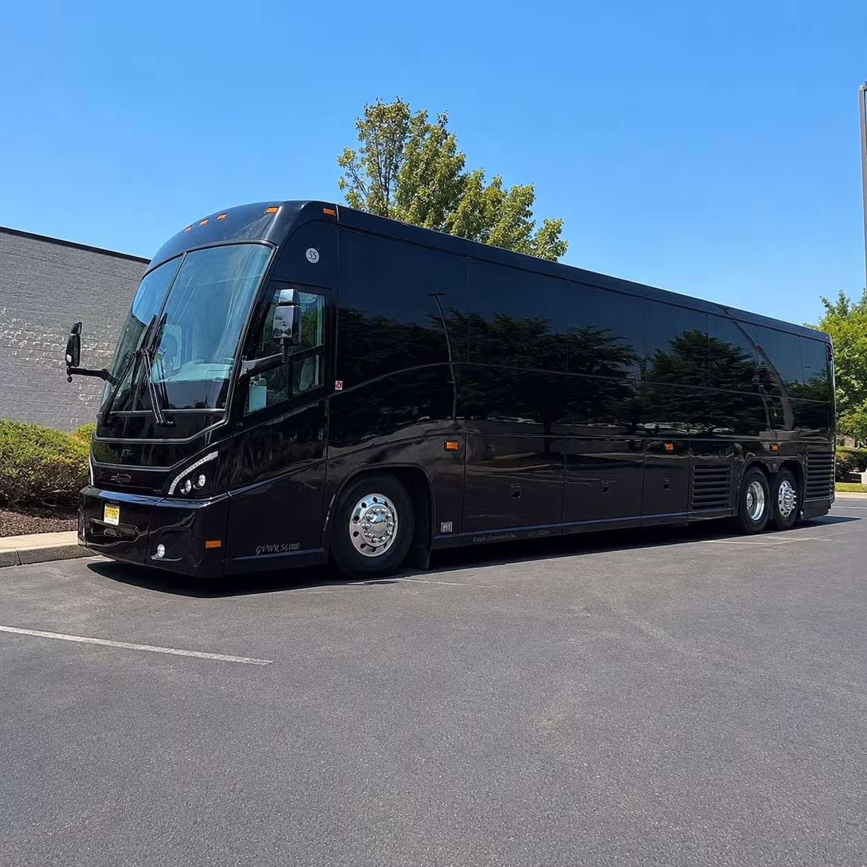 charter buses for natural history and science field trips near taylorsville